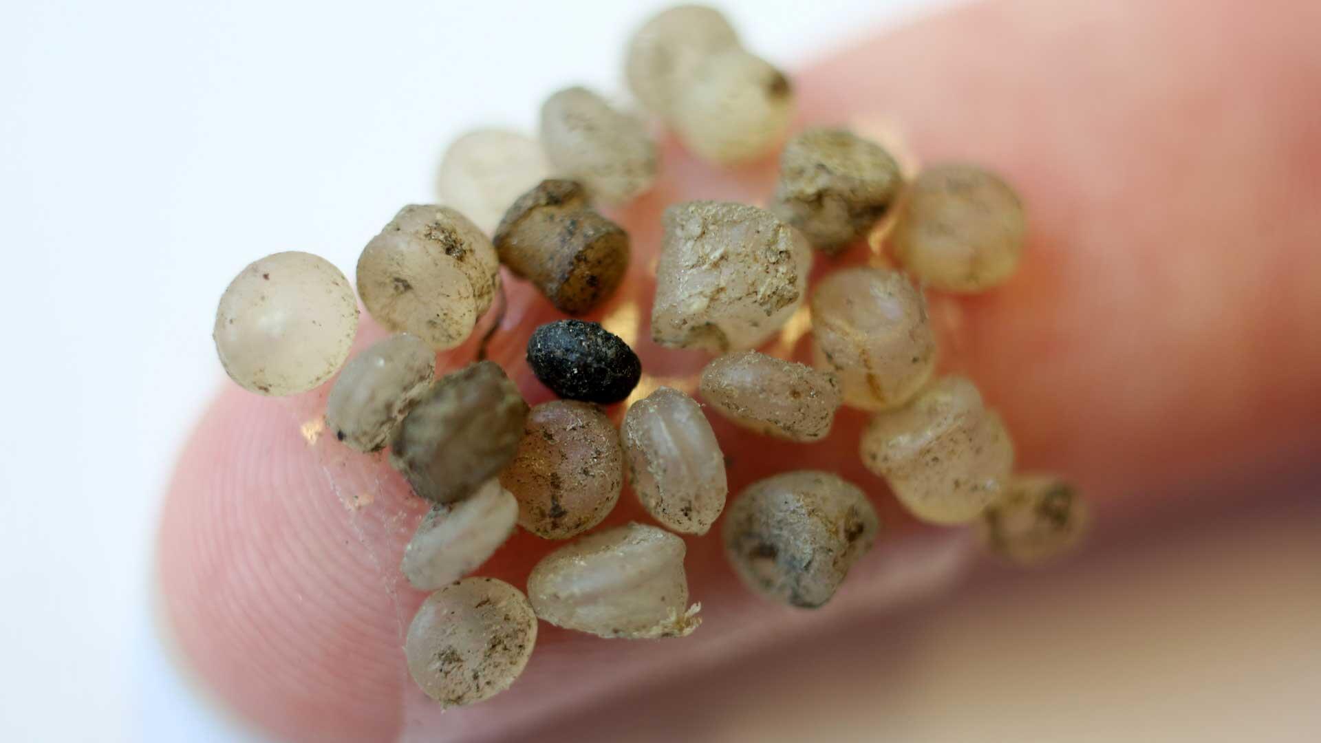 Weniger Mikroplastik aufnehmen: Wissenschaftler haben Tipps für Ihren Alltag Weniger Mikroplastik aufnehmen: Wissenschaftler haben Tipps für Ihren Alltag